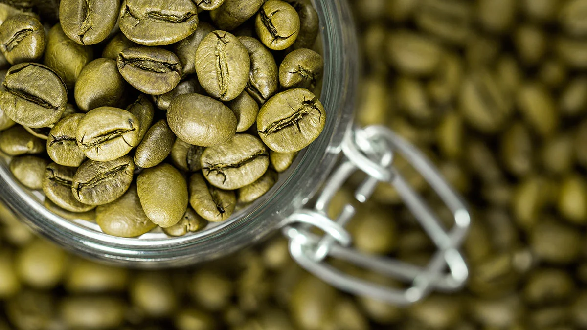 Infografica sull’effetto del caffè verde sul metabolismo